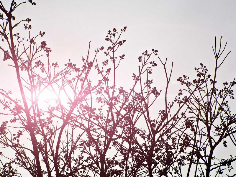 sudoku cross hatching screenshot 1